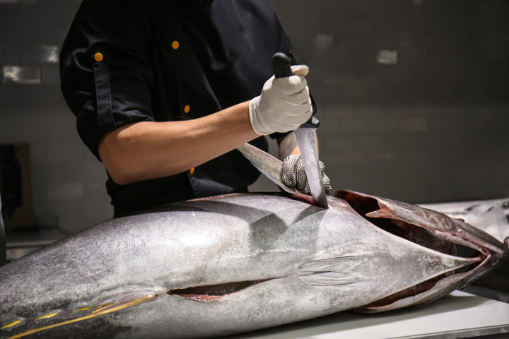 FUMI JOE Bluefin Tuna-Cutting Ceremony & Dinner